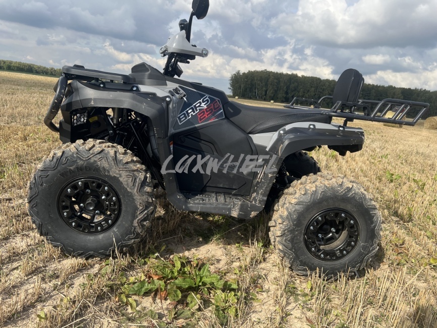 Квадроцикл White Siberia Bars 250 фото 2