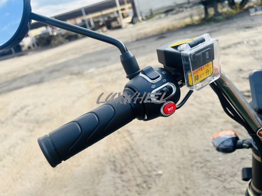 Грузовой электротрицикл самосвал Rockwild Cargo MAX Q30 фото 6