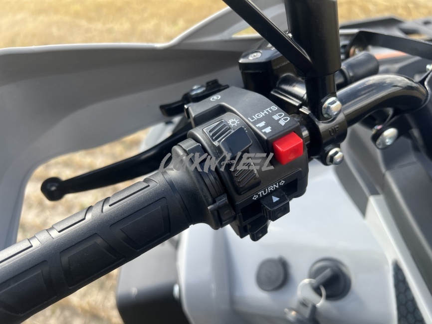 Квадроцикл White Siberia Bars 250 фото 5