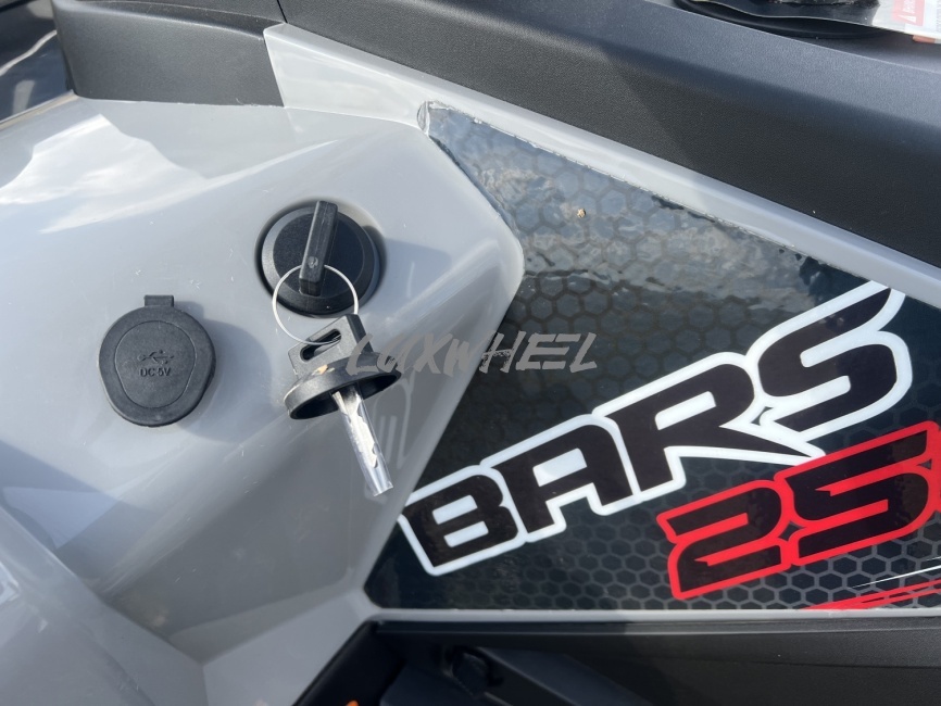 Квадроцикл White Siberia Bars 250 фото 10