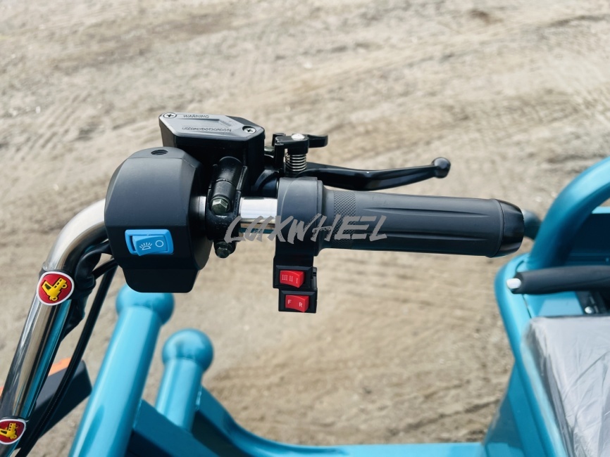 Грузовой трицикл Rockwild Cargo C6 фото 24