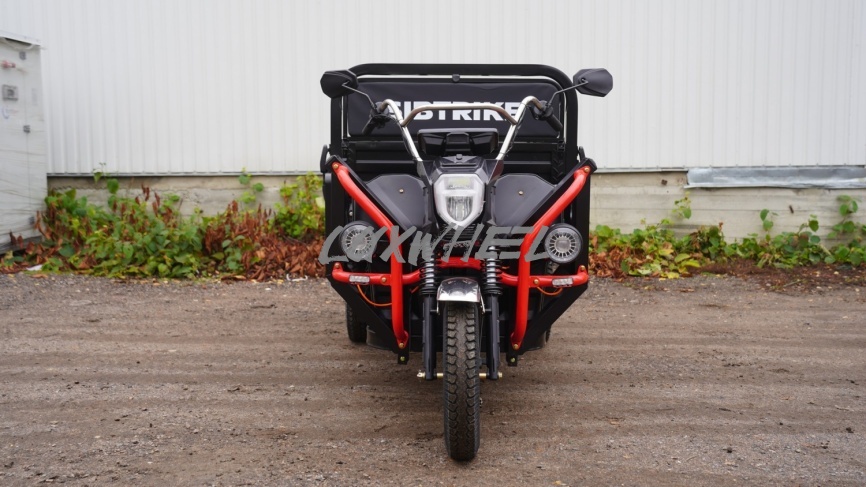 Грузовой электротрицикл Sibtrike PRO Cargo фото 4